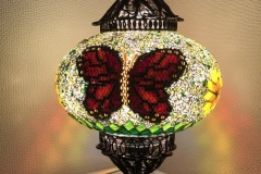IMG-9482-1
